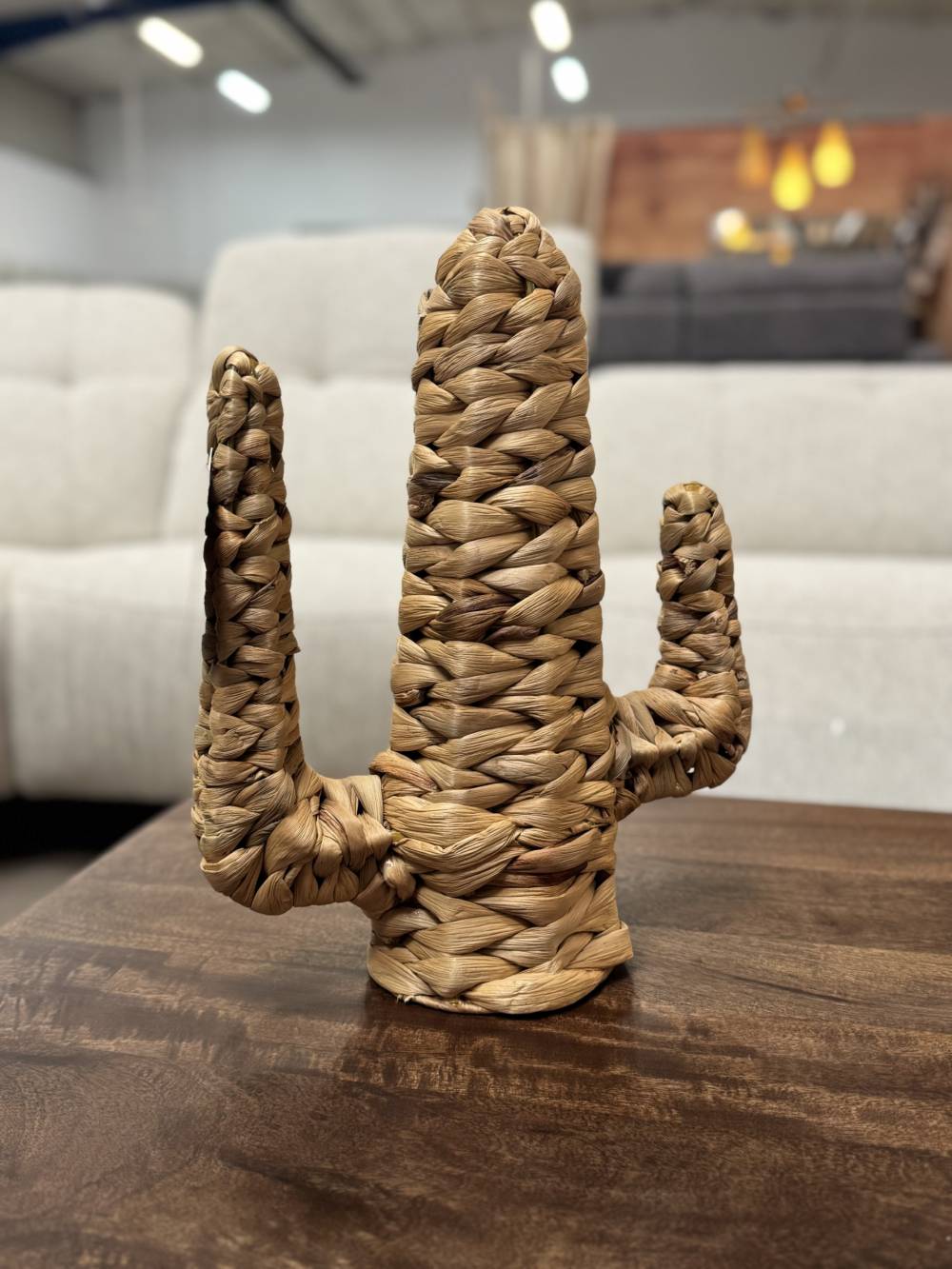 CACTUS EN OSIER